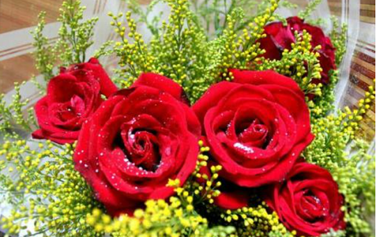 北京韋林意威特工業(yè)內(nèi)窺鏡有限公司預(yù)祝大家新年快樂(lè)，喜樂(lè)安康！